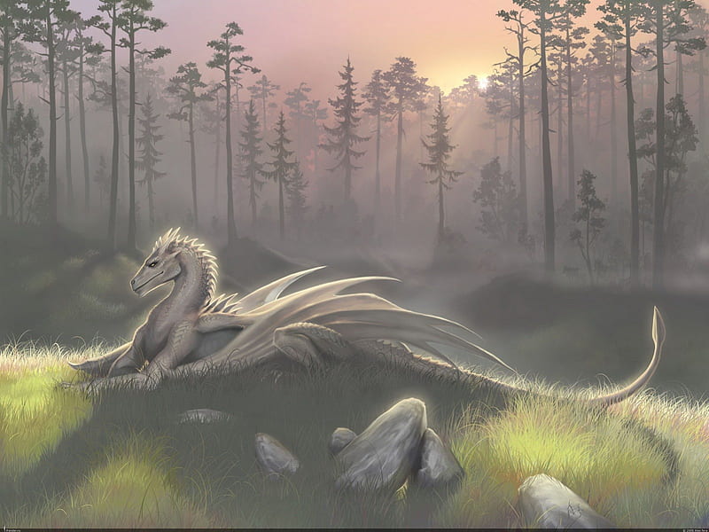 White Dragon, rest, wings, grass, tail, resting, trees, dragon, drake, fantasy, white, hill, HD wallpaper