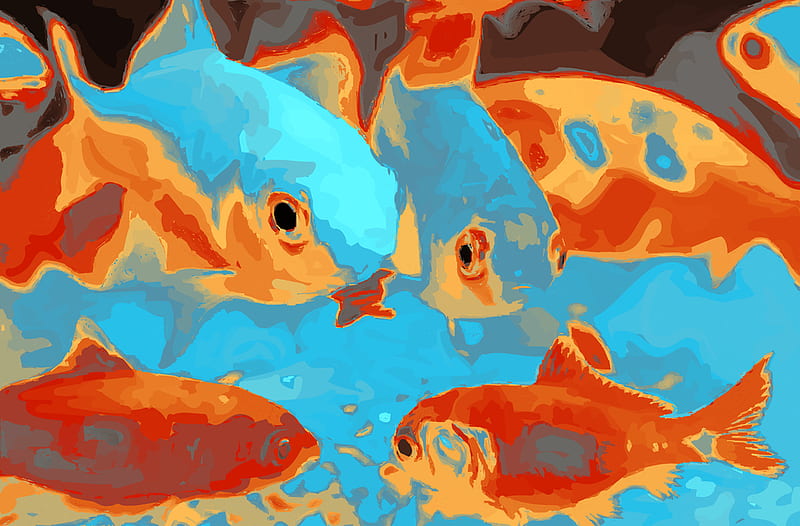 Pop Art Goldfish, water, paintion, watercolor, HD wallpaper