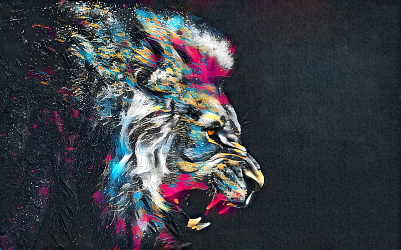 lion, art, wall, street art, gray background, HD wallpaper