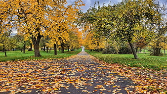 Herbstlandschaft Desktop Hintergrund