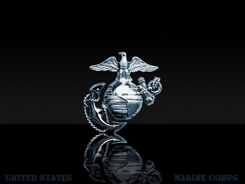 USMC , troops, eagle, black, marines, support, silver, united states, proud, bird, core, HD wallpaper