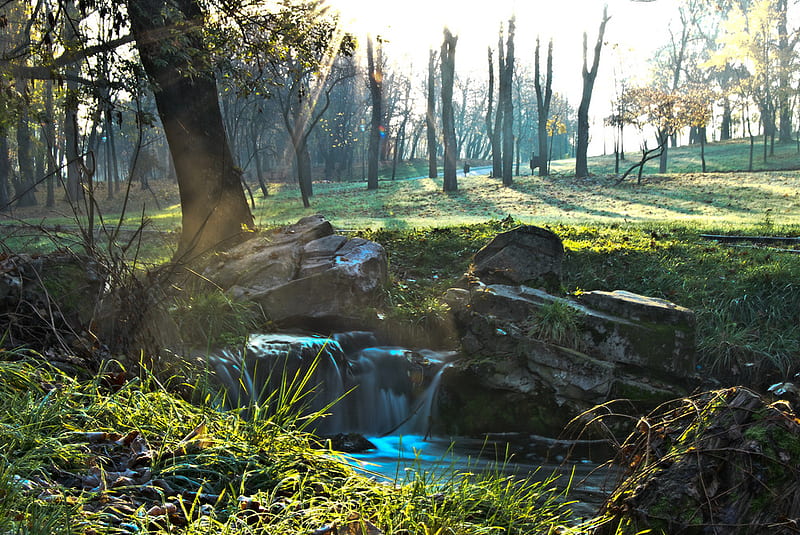 A Little Waterfall, rocks, little, grass, falling, bonito, grasslands, nice, stones, environment, creeks, forests, rivers, falls, amazing, trees, waterfalls, water, cool, awesome, HD wallpaper