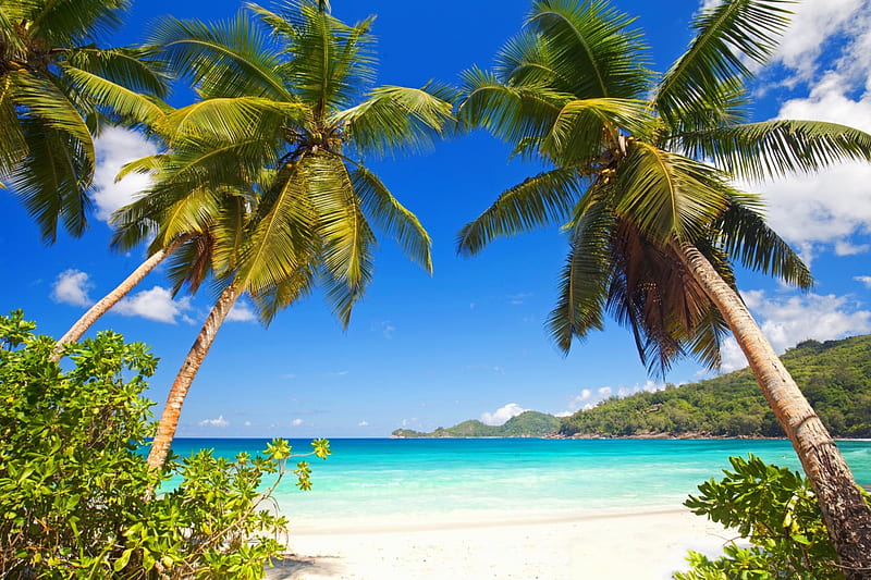 Tropical Paradise, isle, shore, sun, palm, clouds, sea, palm trees ...