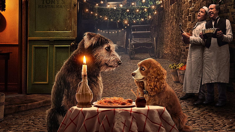 Lady and the tramp 2019, fantasy, luminos, movie, caine, disney, dog, poster, candle, lady and the tramp, couple, HD wallpaper