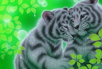 White Baby Tigers, lovely, white tigers, love four seasons, rainy season,  cute, HD wallpaper | Peakpx