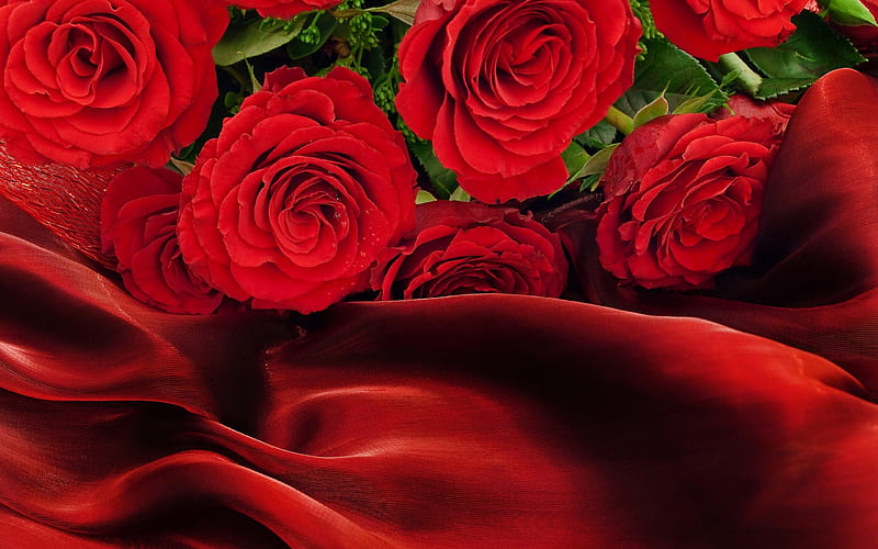 With Love...For You Luiza, luiza, with love, red roses, red, pretty, rose, happy birtay, bonito, drops, red rose, still life, graphy, green, friendship, love, flowers, beauty, for you, friends, lovely, romantic, romance, roses, happy, dreamer-girl, nature, HD wallpaper