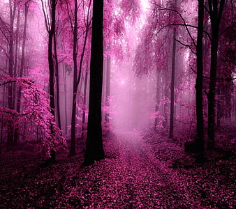 Pink nature, awesome, cool, cute, nice, trees, view, HD wallpaper | Peakpx
