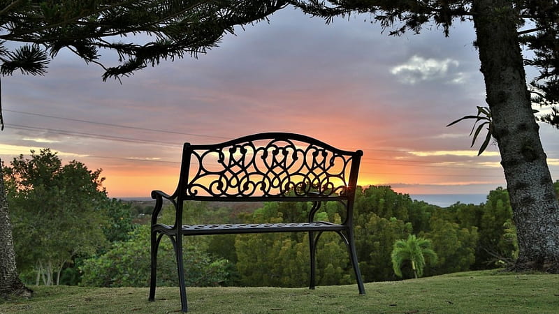 wonderful sunset, sun, grass, Puerto Rico, bench, sunset, trees, Cabo Rojo, HD wallpaper