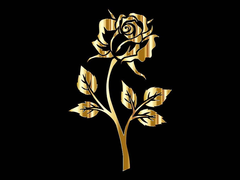 The Golden Rose, Color, Black Background, Abstract, Rose, Floral, Flower, Gold, HD wallpaper