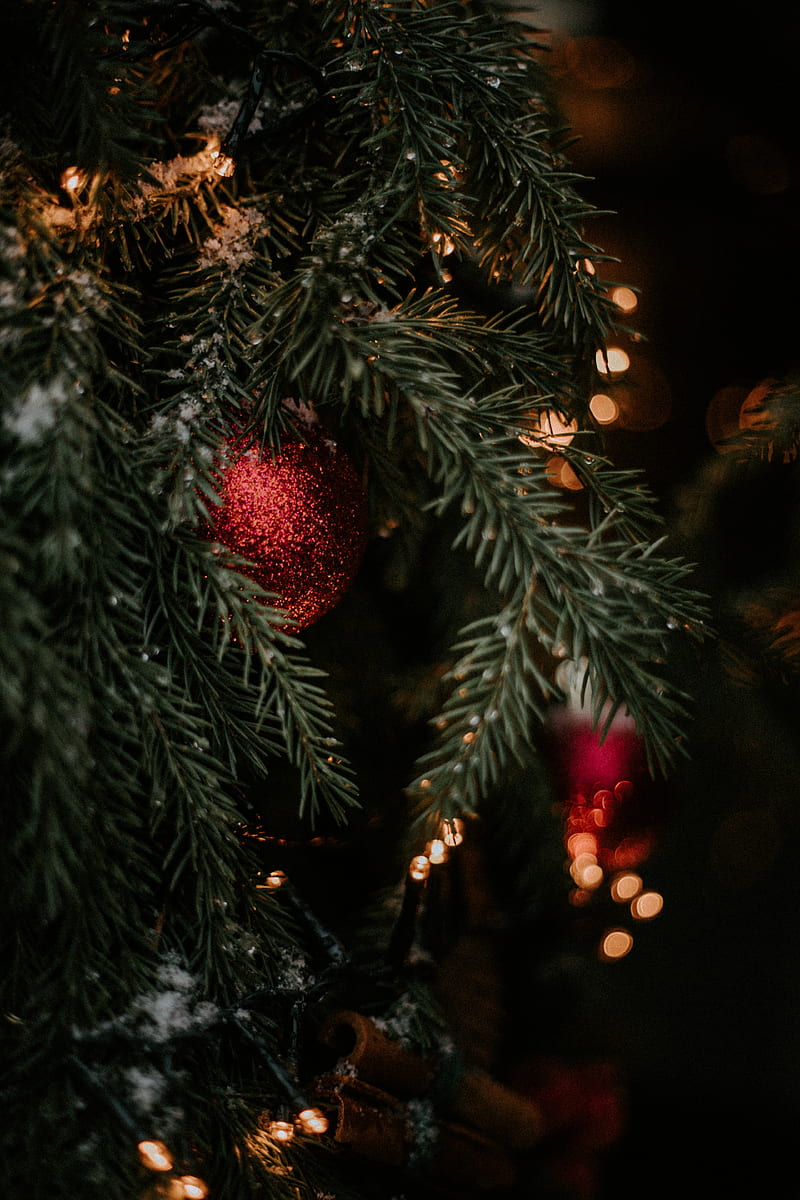 christmas tree, decorations, garlands, new year, christmas, holidays, HD phone wallpaper