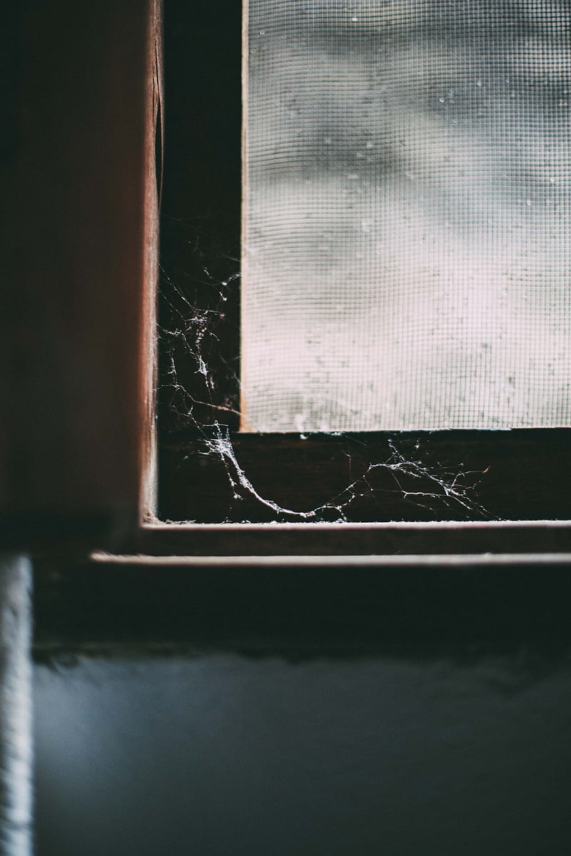 window, cobweb, macro, old, abandoned, dark, HD phone wallpaper