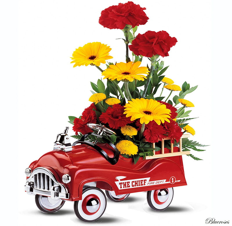 *Funny but beautiful*, red, children, yellow, roses, daisies, fire, car, flowers, toys, HD wallpaper