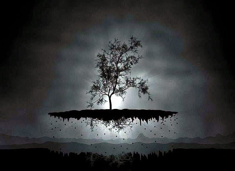 Tree, shadows, roots, night, HD wallpaper