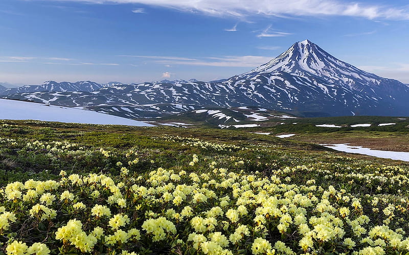 Volcano in Russia, nature, volcano, rhododendrons, mount, HD wallpaper