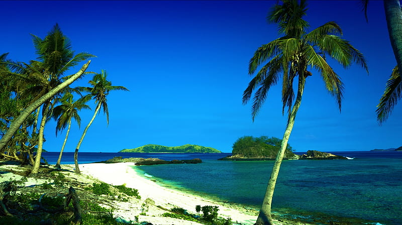 Fiji Island, beach, sand, palm tress, ocean, HD wallpaper