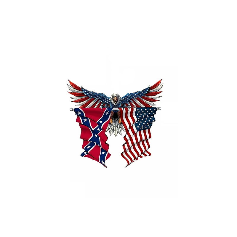 Eagle, flag, rebel, America, bird, patriot, HD phone wallpaper
