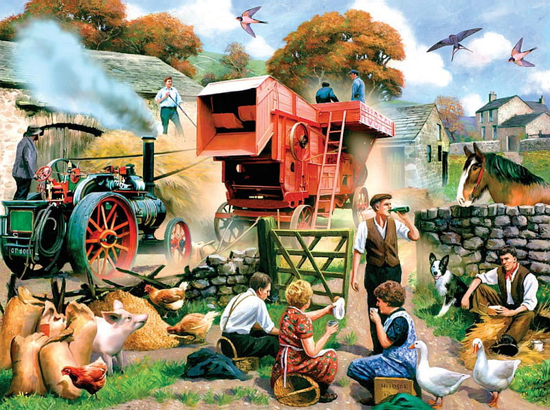 Making Hay, rest, hay break, harvest, combine harvester, country, hay, break, farm, traction engine, animals, HD wallpaper
