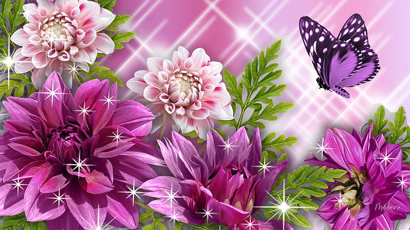 Glorious Chrysanthemums, Firefox theme, autumn, butterflies, spring, sparkle, purple, summer, chrysanthemums, flowers, garden, pink, HD wallpaper