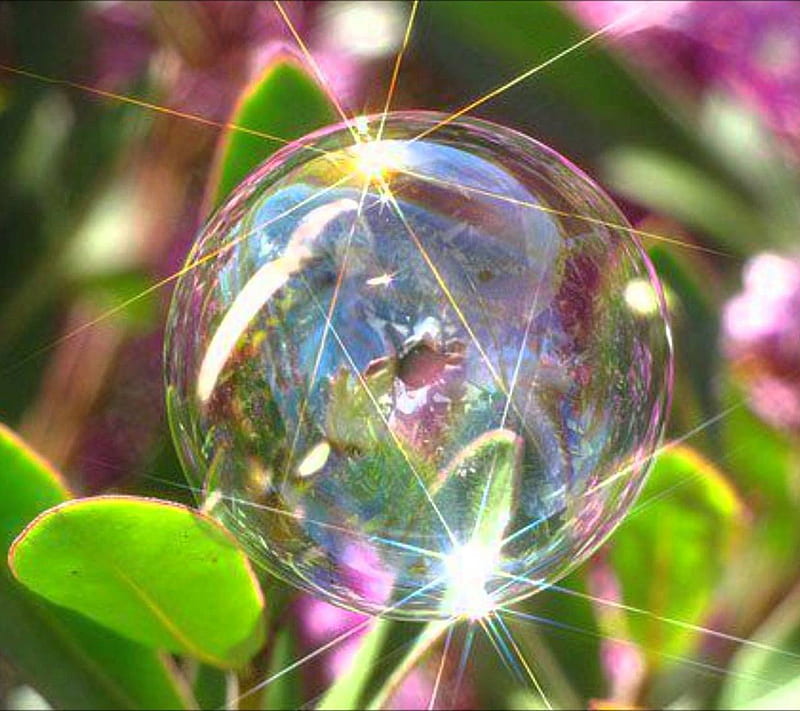 17 Bubbles  Take a Moment Just to See These Beautiful Bubbles   Bubbles  Heart bubbles Soap bubbles
