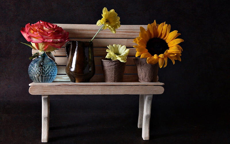 Still Life, pretty, rose, bench, sunflower, vases, gerbera, flowers, nature, HD wallpaper
