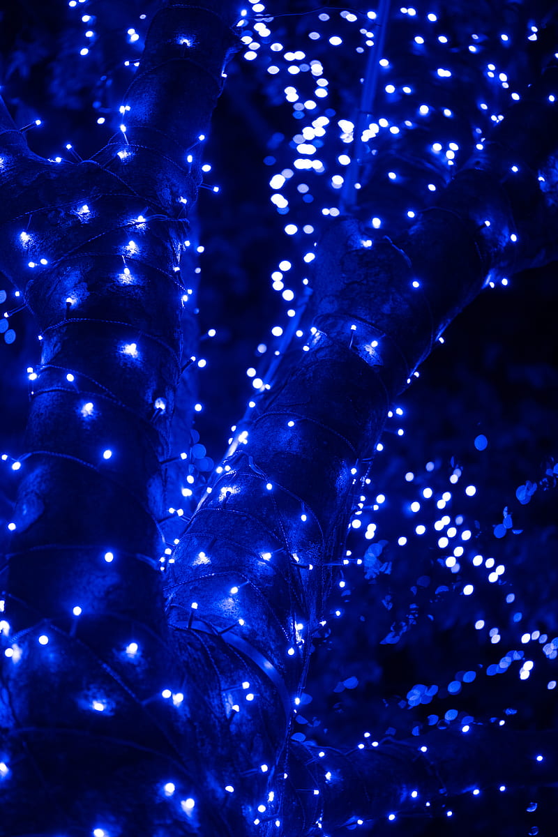 garland, glare, bokeh, blue, shine, HD phone wallpaper