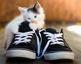 Cute Black And White Shoes