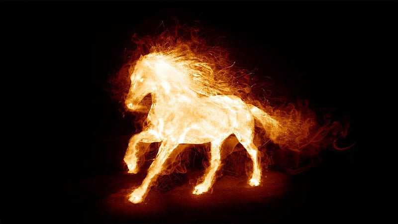 Fire Horse, red, fire, white, horse, HD wallpaper