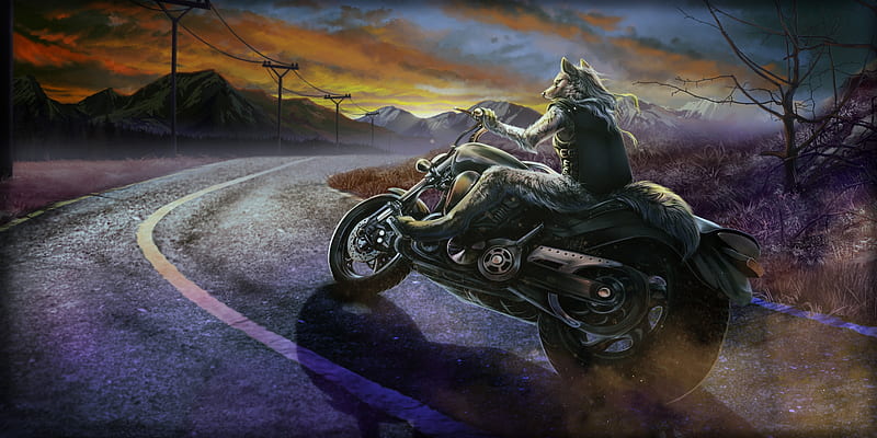 :D, fantasy, luminos, lup, wolf, road, wolfroad, motorcycle, HD wallpaper
