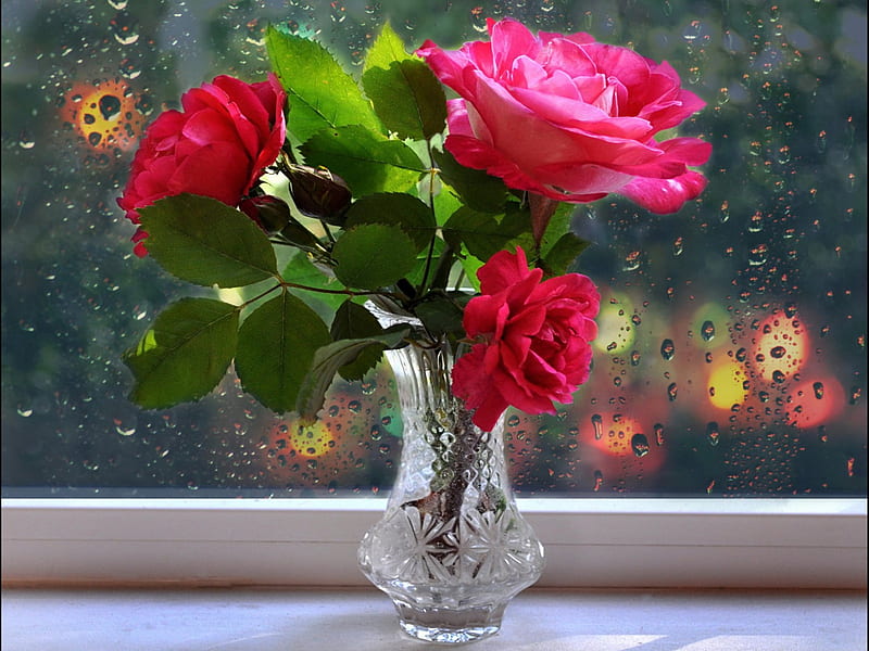 Pretty bouquet, red, pretty, vase, bonito, drops, fragrance, still life, leaves, flowers, evening, street, night, lovely, window, scent, roses, bouquet, dark, petals, rain, HD wallpaper