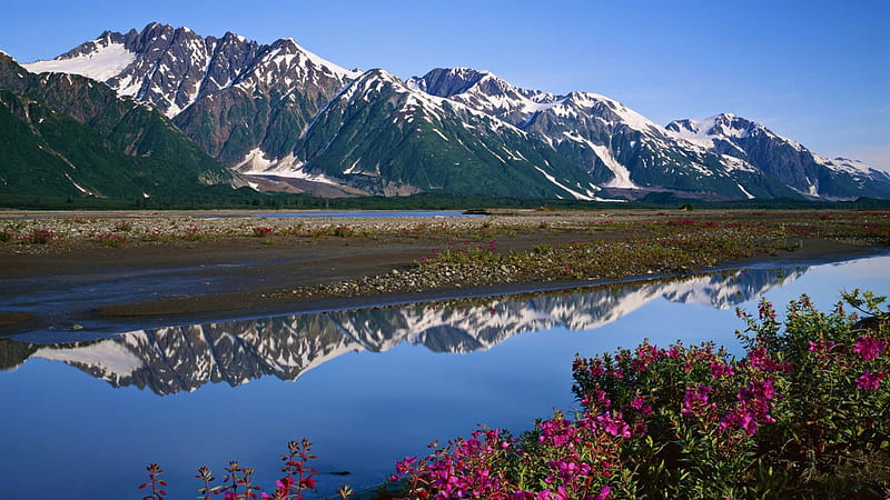 Glacier Bay National Park, Alaska, water, snow, mountains, blossoms, river, landscape, HD wallpaper