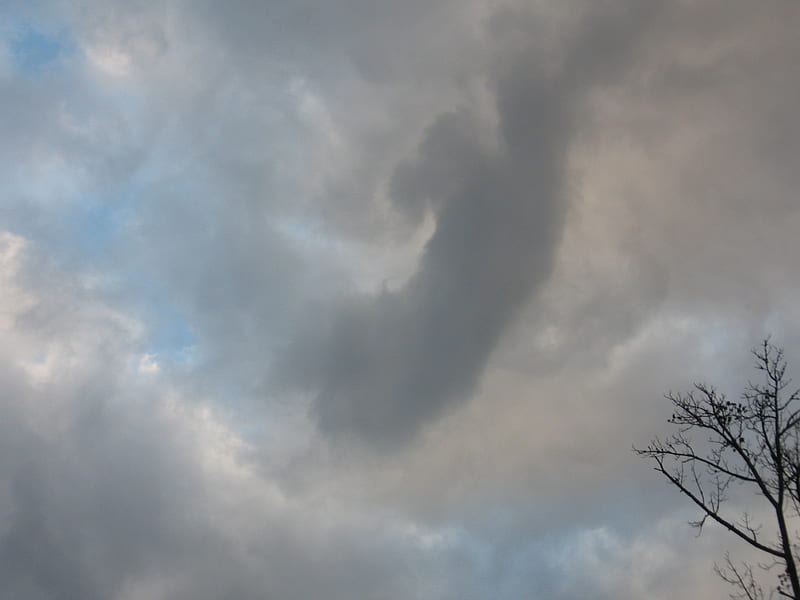 pounce, cat, clouds, sky, storm, HD wallpaper