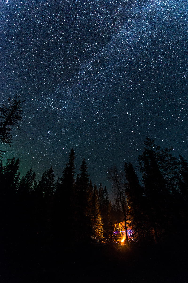 night, bonfire, spruce, stars, starry sky, HD phone wallpaper