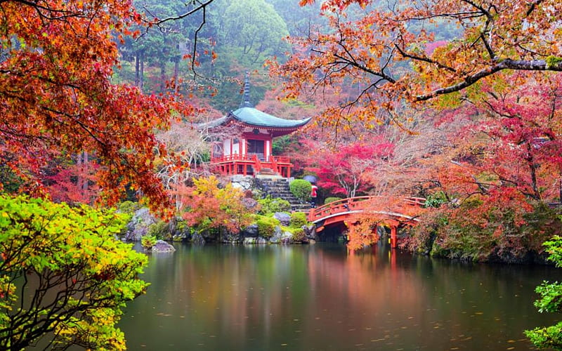 Kyoto Japan, Kyoto, Trees, japan, Bridge, Nature, HD wallpaper
