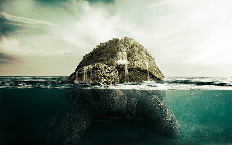 turtle, island, big turtle, sea, HD wallpaper