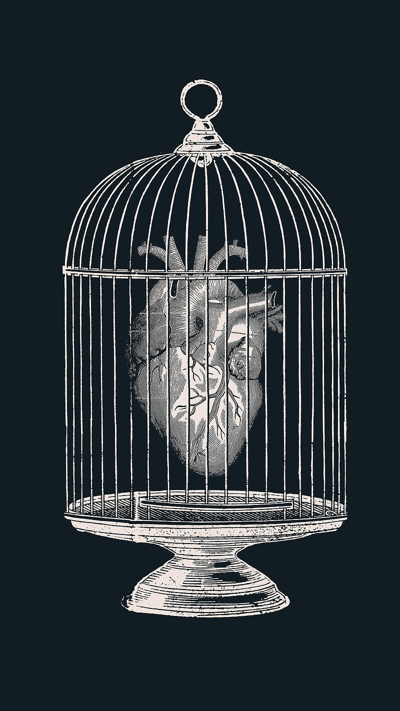 my heart, Tobe, cage, dom, love, minimal, navy, HD phone wallpaper