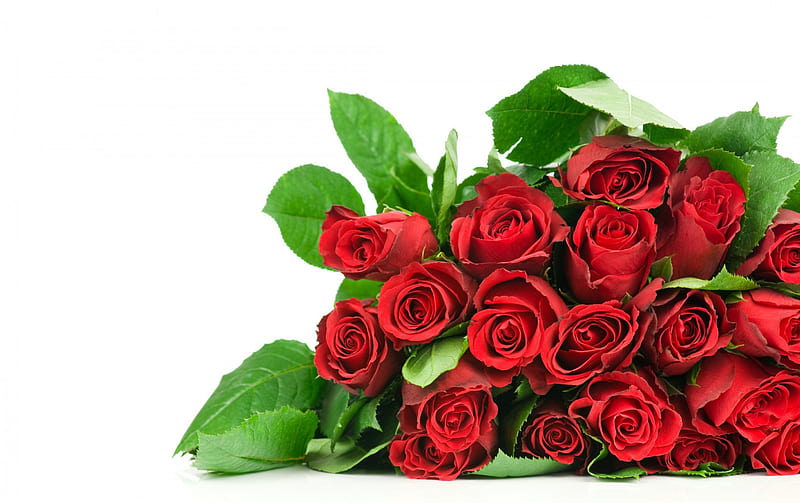 Roses, red, red roses, special, lovely, moments, romance, valentine, cool, bouquet, flowers, day, superlative, for you, HD wallpaper
