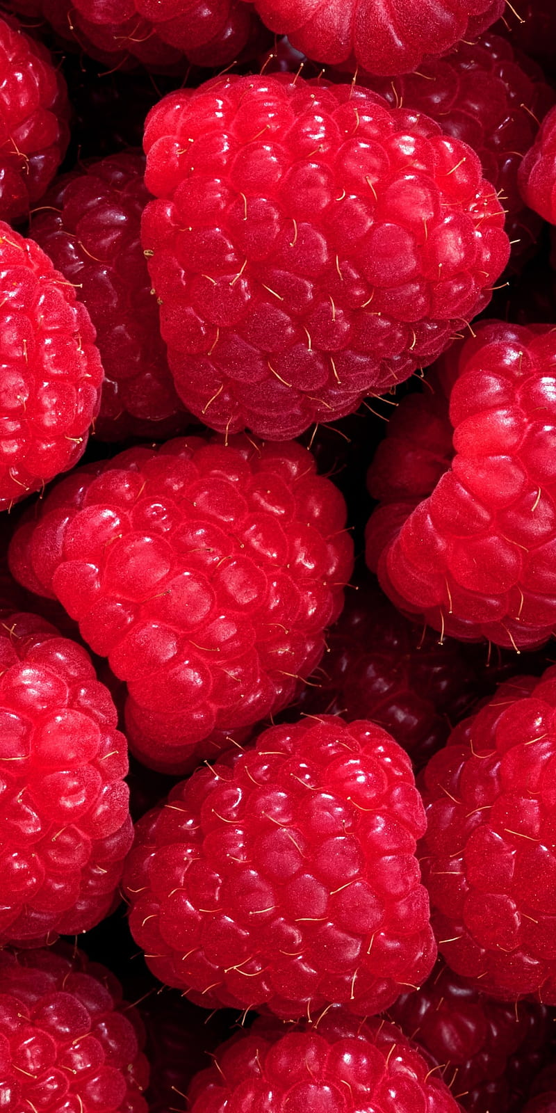 Raspberries, food, fresh, fruits, macro, red, HD phone wallpaper