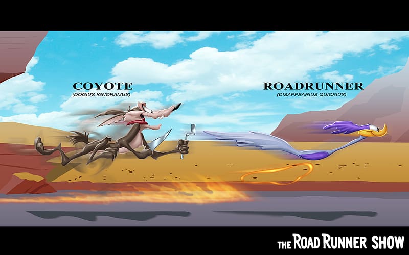 Tv Show, Looney Tunes, Wile E Coyote And The Road Runner, HD wallpaper |  Peakpx