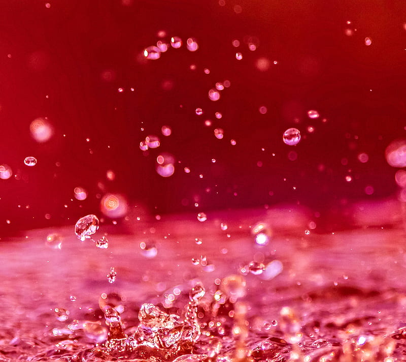 Water Drops, drops, micro, red, water, HD wallpaper