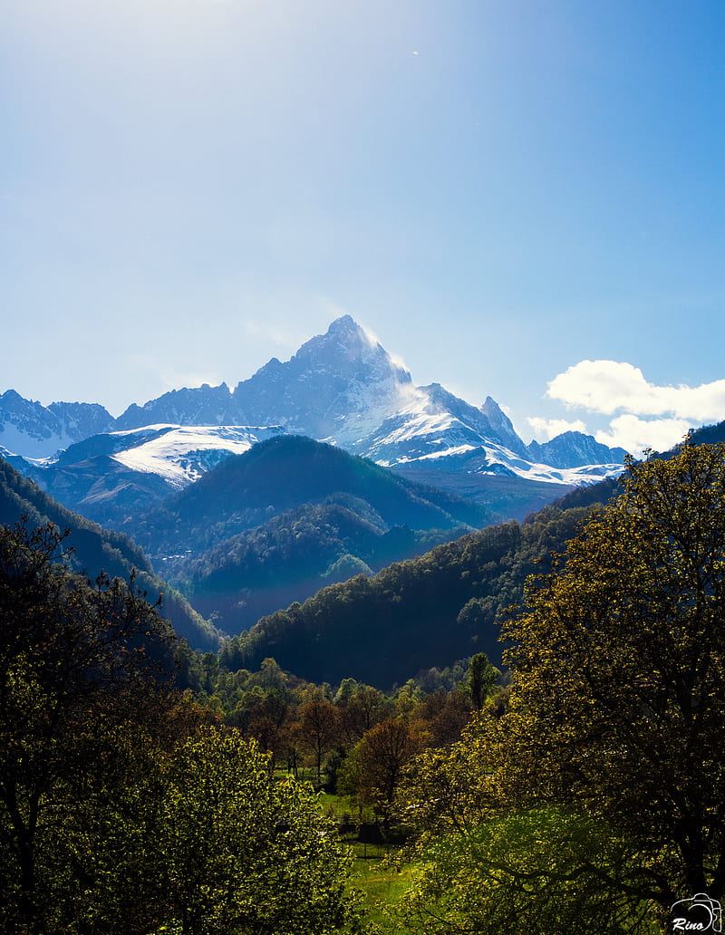 mountains, forest, landscape, trees, peak, mountain range, HD phone wallpaper