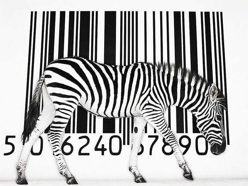 BIZARRE BARCODE, stripes, black and white, zebras, commerce, abstract, animals, antelope, africa, HD wallpaper