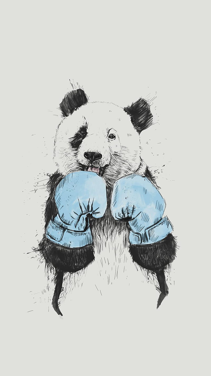 Panda, bear, boxing, bears, alone, bad, boxer, HD phone wallpaper