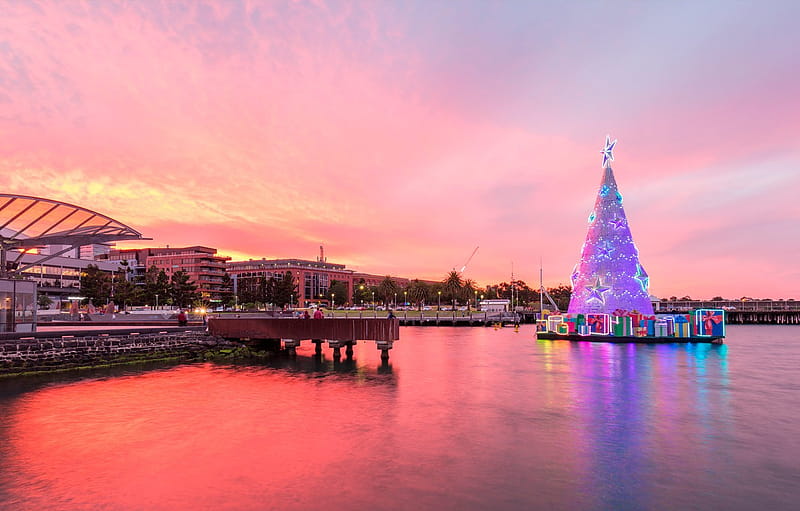 lights, tree, Australia, Christmas, Geelong for , section город, Aussie Christmas, HD wallpaper
