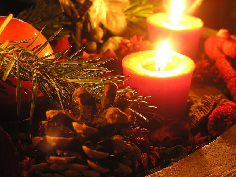 Christmas Eve, Mistletoe and more ..., small, sweet, hope, green, love, siempre, light, present, lovely, christmas, red ribbon, peace, joy, gift, pet, mistletoe, tiny, heart, entertainment, fashion, faith, HD wallpaper