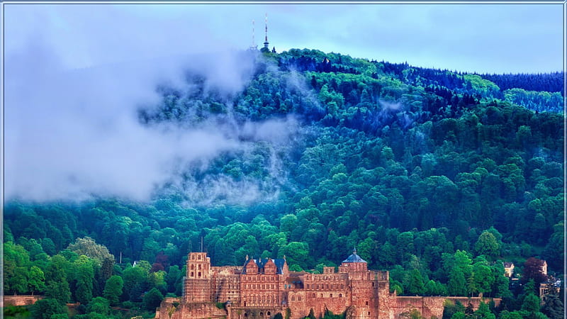 famous heidelberg castle in germany, mountain, forest, ruins, clouds, castle, antenna, HD wallpaper