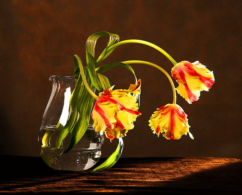 Frilled petals, red, flowers, yellow, vase, tulips, frilled, HD wallpaper