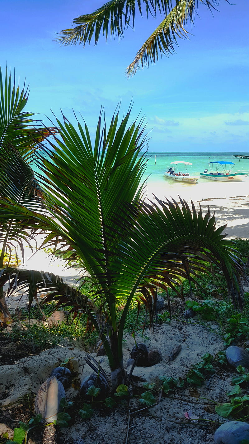 Laguna mexico, playa, playas, paisaje, Fondo de pantalla de teléfono HD |  Peakpx