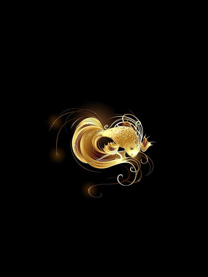 Gold Fish, abstract, art, best, black, desenho, golden, nice, HD phone  wallpaper | Peakpx