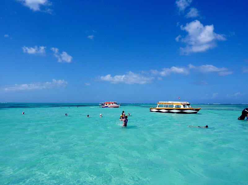 Nylon Pool Tobago, clear water, people in water, sea, glass bottom boat, HD wallpaper