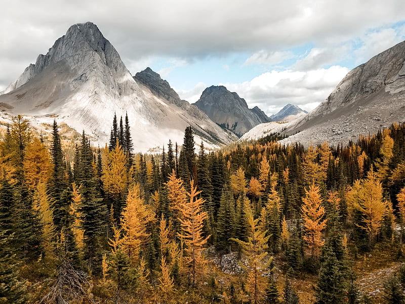 Autumn In The Rockies, autumn, nature, HD wallpaper